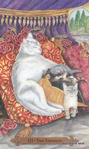 Mystical Cats Tarot